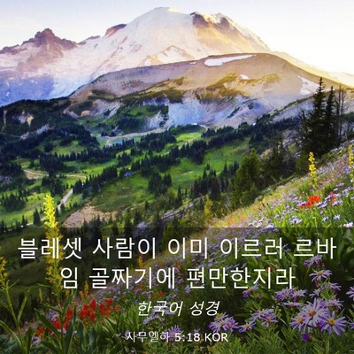 Picture 03 - 사무엘하 5:18 KOR - 블레셋 사람이 이미 이르러 르바임 - Bible Verse Picture