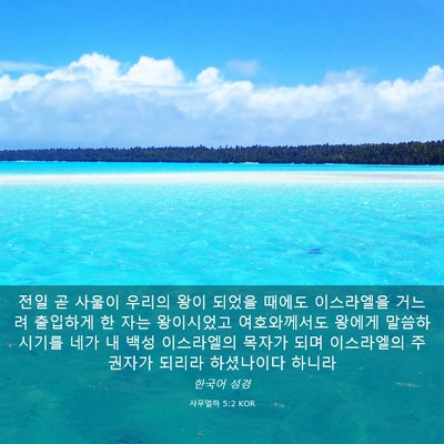 Picture 03 - 사무엘하 5:2 KOR - 전일 곧 사울이 우리의 왕이 되었을 - Bible Verse Picture