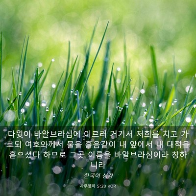 Picture 03 - 사무엘하 5:20 KOR - 다윗이 바알브라심에 이르러 거기서 - Bible Verse Picture