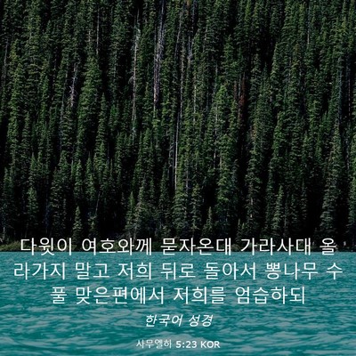 Picture 03 - 사무엘하 5:23 KOR - 다윗이 여호와께 묻자온대 가라사대 - Bible Verse Picture