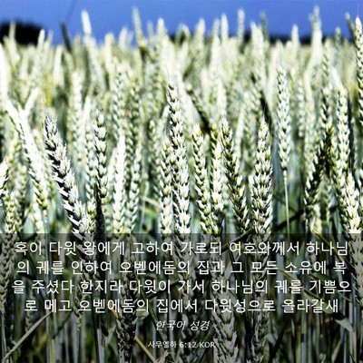 Picture 03 - 사무엘하 6:12 KOR - 혹이 다윗 왕에게 고하여 가로되 - Bible Verse Picture