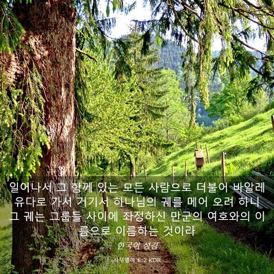 Picture 03 - 사무엘하 6:2 KOR - 일어나서 그 함께 있는 모든 - Bible Verse Picture