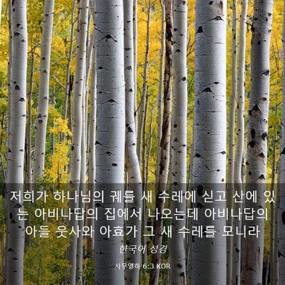 Picture 03 - 사무엘하 6:3 KOR - 저희가 하나님의 궤를 새 수레에 - Bible Verse Picture