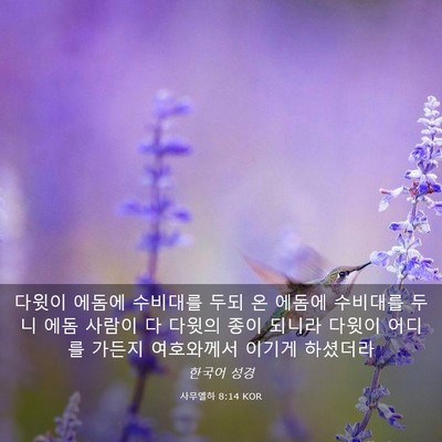 Picture 03 - 사무엘하 8:14 KOR - 다윗이 에돔에 수비대를 두되 온 - Bible Verse Picture