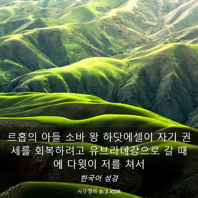 Picture 03 - 사무엘하 8:3 KOR - 르홉의 아들 소바 왕 하닷에셀이 - Bible Verse Picture