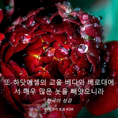 Picture 03 - 사무엘하 8:8 KOR - 또 하닷에셀의 고을 베다와 - Bible Verse Picture