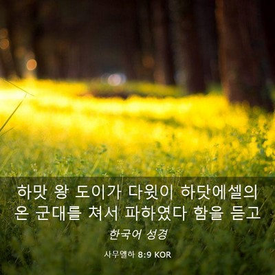Picture 03 - 사무엘하 8:9 KOR - 하맛 왕 도이가 다윗이 하닷에셀의 - Bible Verse Picture