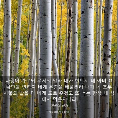 Picture 03 - 사무엘하 9:7 KOR - 다윗이 가로되 무서워 말라 내가 - Bible Verse Picture