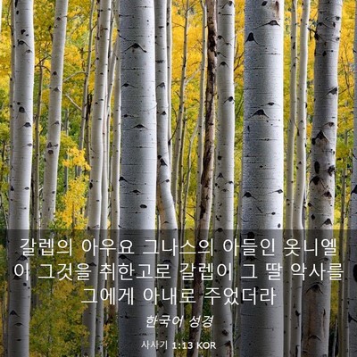 Picture 03 - 사사기 1:13 KOR - 갈렙의 아우요 그나스의 아들인 - Bible Verse Picture