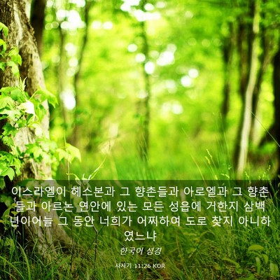 Picture 03 - 사사기 11:26 KOR - 이스라엘이 헤스본과 그 향촌들과 - Bible Verse Picture
