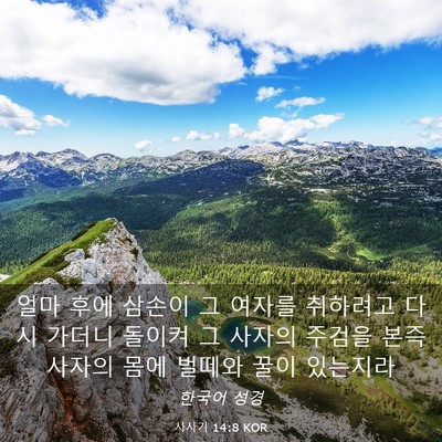 Picture 03 - 사사기 14:8 KOR - 얼마 후에 삼손이 그 여자를 - Bible Verse Picture