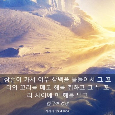 Picture 03 - 사사기 15:4 KOR - 삼손이 가서 여우 삼백을 붙들어서 - Bible Verse Picture