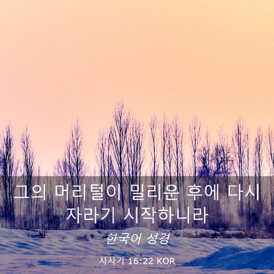 Picture 03 - 사사기 16:22 KOR - 그의 머리털이 밀리운 후에 다시 - Bible Verse Picture