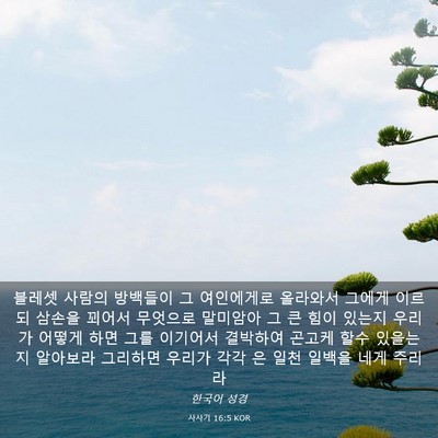 Picture 03 - 사사기 16:5 KOR - 블레셋 사람의 방백들이 그 - Bible Verse Picture