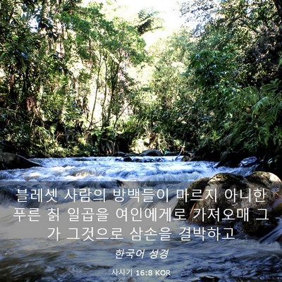 Picture 03 - 사사기 16:8 KOR - 블레셋 사람의 방백들이 마르지 - Bible Verse Picture