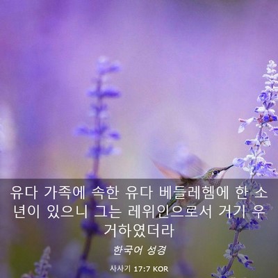 Picture 03 - 사사기 17:7 KOR - 유다 가족에 속한 유다 베들레헴에 - Bible Verse Picture