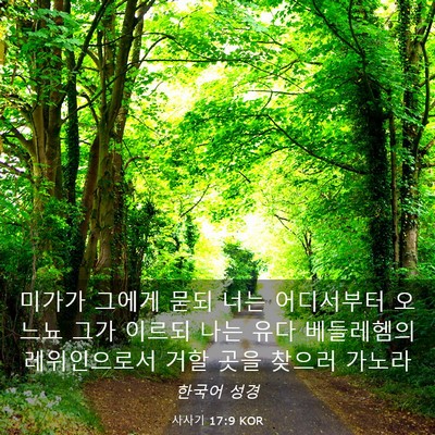 Picture 03 - 사사기 17:9 KOR - 미가가 그에게 묻되 너는 어디서부터 - Bible Verse Picture