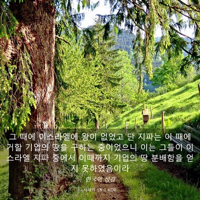 Picture 03 - 사사기 18:1 KOR - 그 때에 이스라엘에 왕이 없었고 단 - Bible Verse Picture