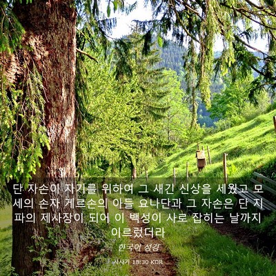 Picture 03 - 사사기 18:30 KOR - 단 자손이 자기를 위하여 그 새긴 - Bible Verse Picture