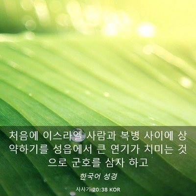 Picture 03 - 사사기 20:38 KOR - 처음에 이스라엘 사람과 복병 사이에 - Bible Verse Picture