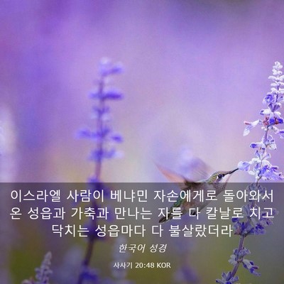 Picture 03 - 사사기 20:48 KOR - 이스라엘 사람이 베냐민 자손에게로 - Bible Verse Picture