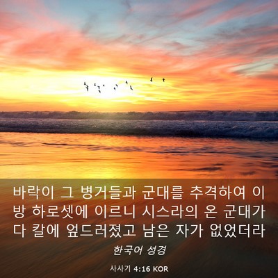 Picture 03 - 사사기 4:16 KOR - 바락이 그 병거들과 군대를 추격하여 - Bible Verse Picture
