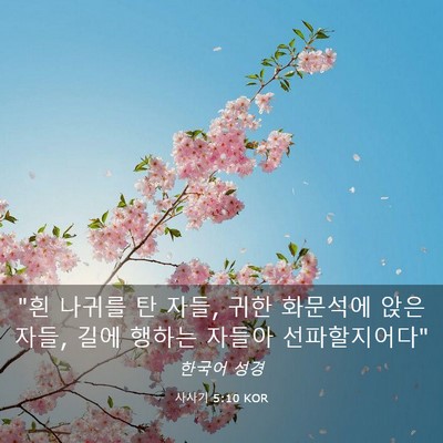 Picture 03 - 사사기 5:10 KOR - 