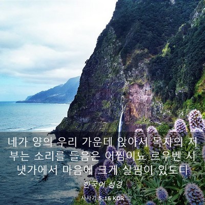 Picture 03 - 사사기 5:16 KOR - 네가 양의 우리 가운데 앉아서 - Bible Verse Picture