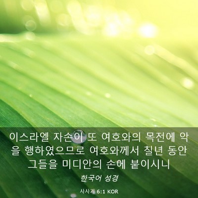 Picture 03 - 사사기 6:1 KOR - 이스라엘 자손이 또 여호와의 목전에 - Bible Verse Picture