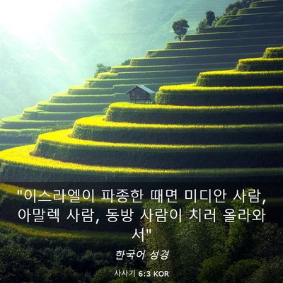 Picture 03 - 사사기 6:3 KOR - 