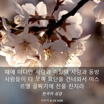 Picture 03 - 사사기 6:33 KOR - 때에 미디안 사람과 아말렉 사람과 - Bible Verse Picture