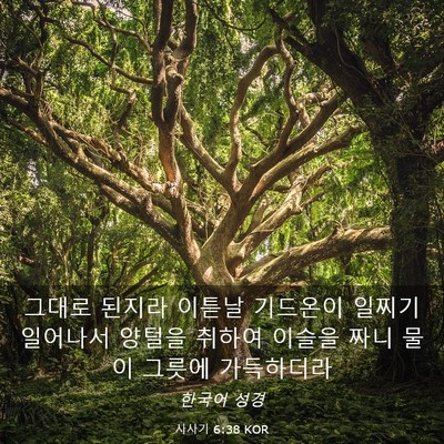 Picture 03 - 사사기 6:38 KOR - 그대로 된지라 이튿날 기드온이 - Bible Verse Picture