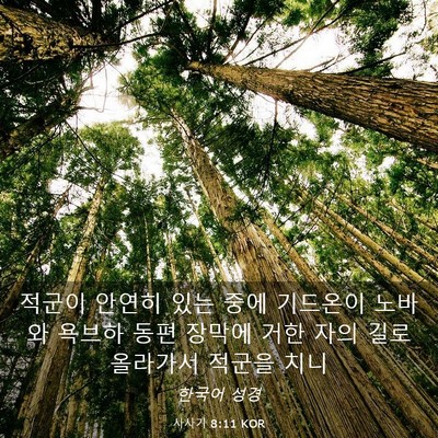 Picture 03 - 사사기 8:11 KOR - 적군이 안연히 있는 중에 기드온이 - Bible Verse Picture