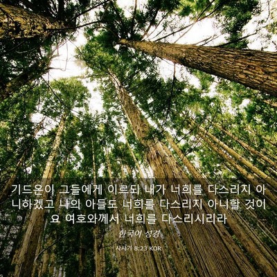 Picture 03 - 사사기 8:23 KOR - 기드온이 그들에게 이르되 내가 - Bible Verse Picture