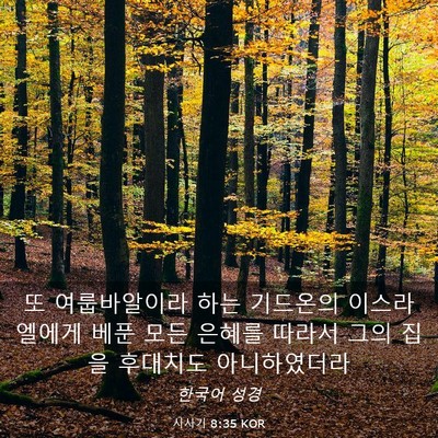 Picture 03 - 사사기 8:35 KOR - 또 여룹바알이라 하는 기드온의 - Bible Verse Picture