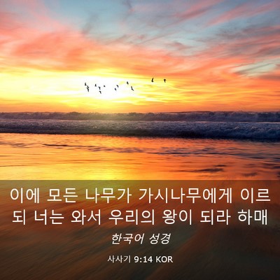 Picture 03 - 사사기 9:14 KOR - 이에 모든 나무가 가시나무에게 - Bible Verse Picture