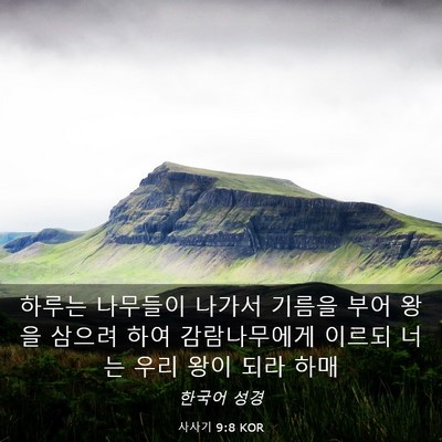 Picture 03 - 사사기 9:8 KOR - 하루는 나무들이 나가서 기름을 부어 - Bible Verse Picture