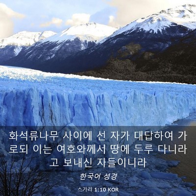 Picture 03 - 스가랴 1:10 KOR - 화석류나무 사이에 선 자가 대답하여 - Bible Verse Picture