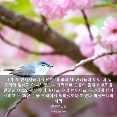 Picture 03 - 스가랴 1:6 KOR - 내가 종 선지자들에게 명한 내 말과 - Bible Verse Picture