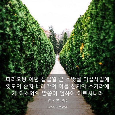 Picture 03 - 스가랴 1:7 KOR - 다리오왕 이년 십일월 곧 스밧월 - Bible Verse Picture