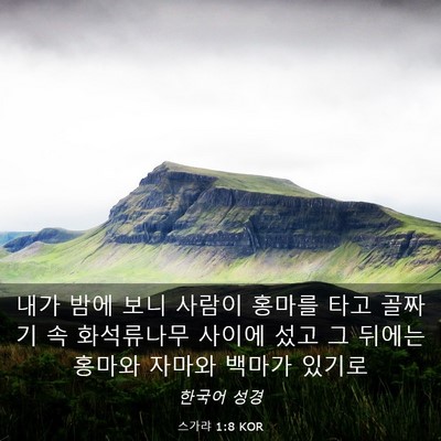 Picture 03 - 스가랴 1:8 KOR - 내가 밤에 보니 사람이 홍마를 타고 - Bible Verse Picture