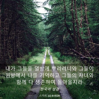 Picture 03 - 스가랴 10:9 KOR - 내가 그들을 열방에 뿌리려니와 - Bible Verse Picture
