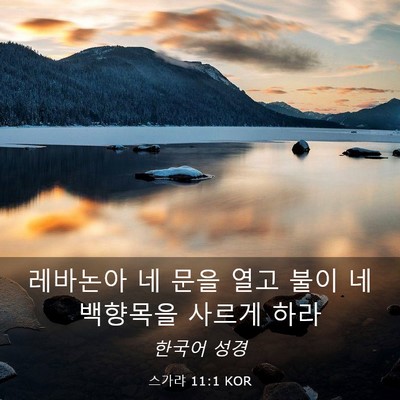 Picture 03 - 스가랴 11:1 KOR - 레바논아 네 문을 열고 불이 네 - Bible Verse Picture