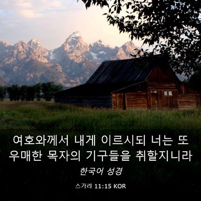 Picture 03 - 스가랴 11:15 KOR - 여호와께서 내게 이르시되 너는 또 - Bible Verse Picture