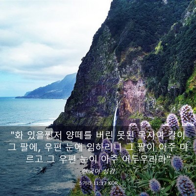 Picture 03 - 스가랴 11:17 KOR - 