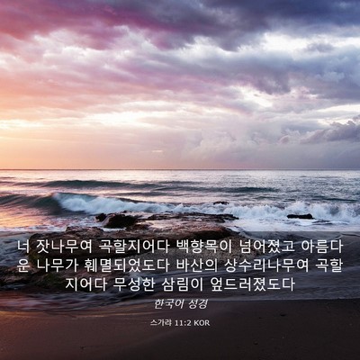 Picture 03 - 스가랴 11:2 KOR - 너 잣나무여 곡할지어다 백향목이 - Bible Verse Picture