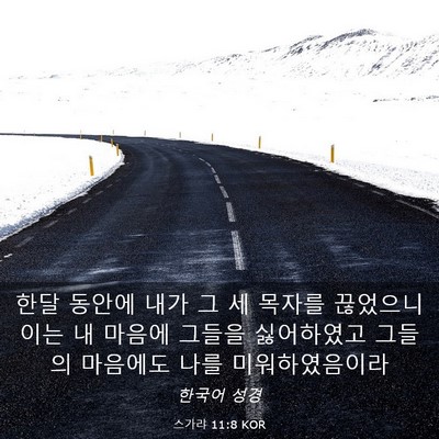 Picture 03 - 스가랴 11:8 KOR - 한달 동안에 내가 그 세 목자를 - Bible Verse Picture