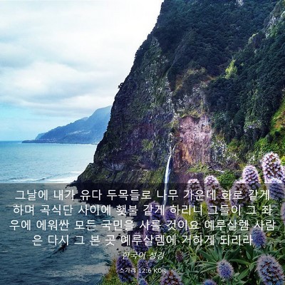Picture 03 - 스가랴 12:6 KOR - 그날에 내가 유다 두목들로 나무 - Bible Verse Picture