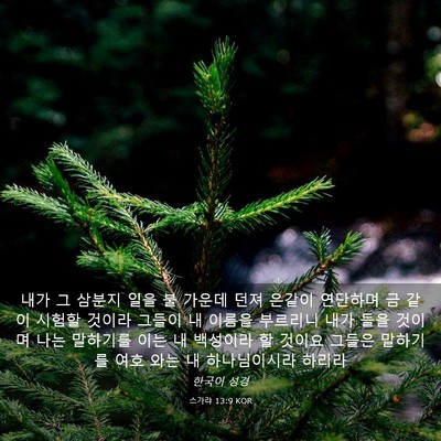 Picture 03 - 스가랴 13:9 KOR - 내가 그 삼분지 일을 불 가운데 던져 - Bible Verse Picture