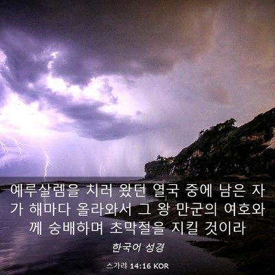 Picture 03 - 스가랴 14:16 KOR - 예루살렘을 치러 왔던 열국 중에 - Bible Verse Picture